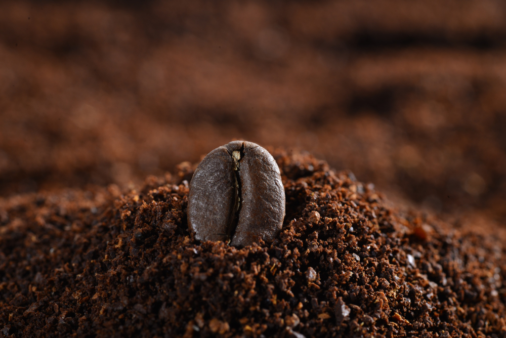 Quais os benefícios do café arábico? 2 cafe grao po