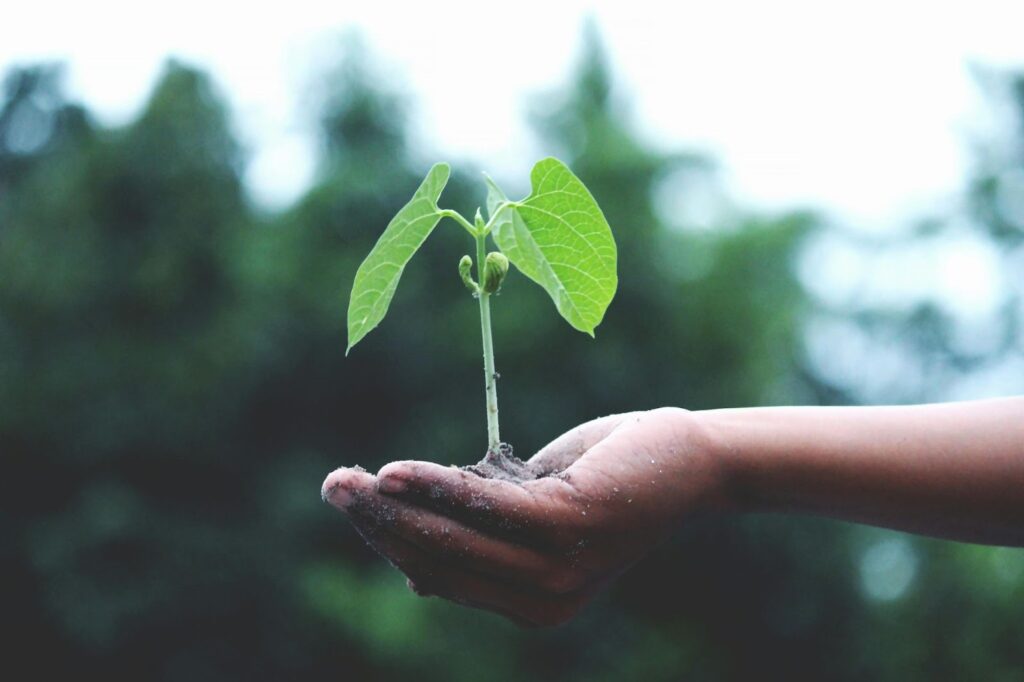 Sustentabilidade e ESG: como integrar práticas reais sem greenwashing? 1 Sustentabilidade e ESG