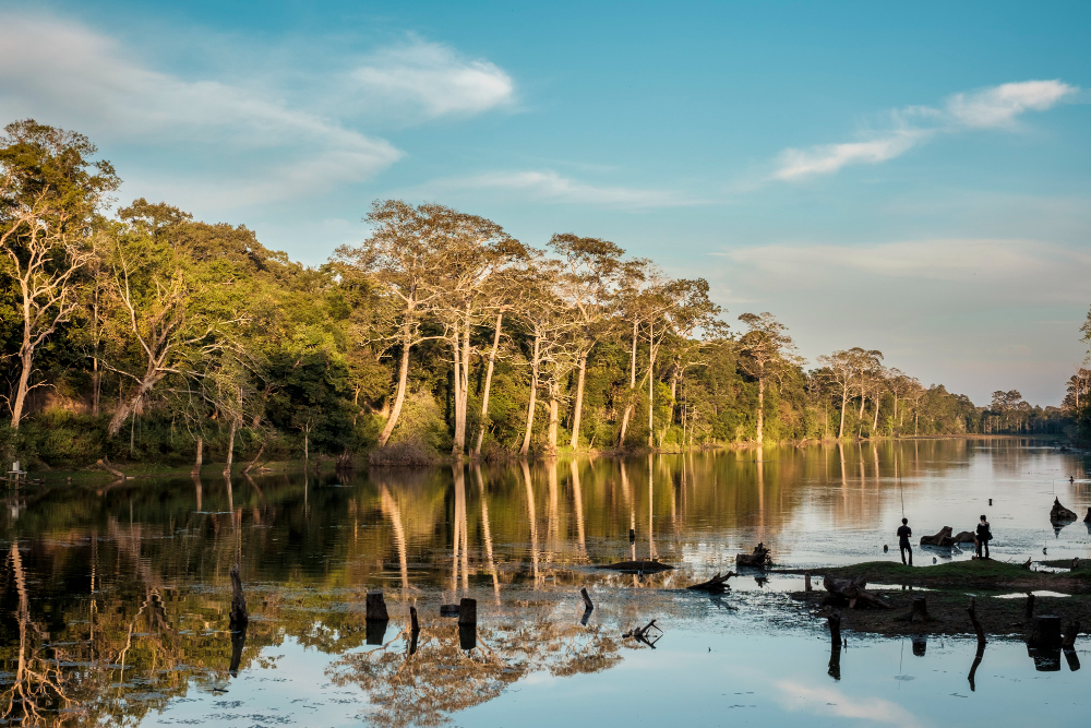 Bioparque Pantanal para curiosos: ciência, conservação e passeio em Campo Grande